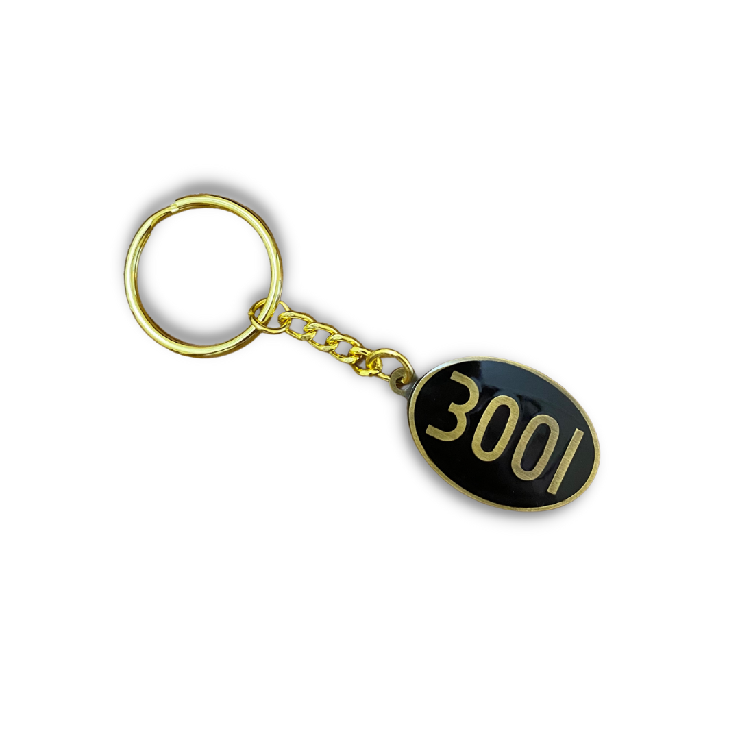 3001 Oval Keyring