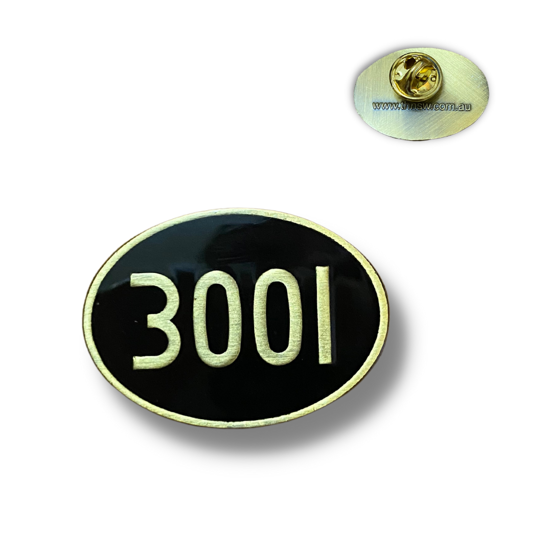 3001 Oval Pin
