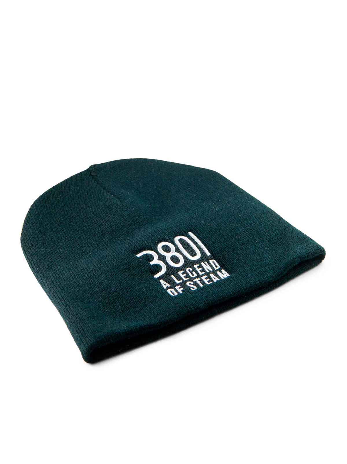 3801 Beanie