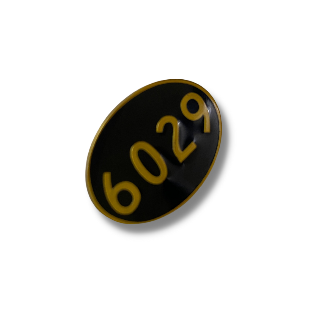6029 Oval Pin