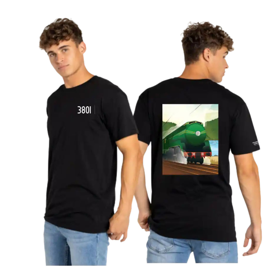3801 - Shirt