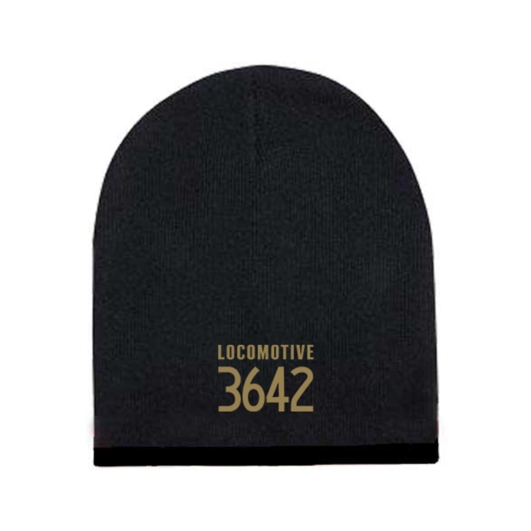 3642 Beanie