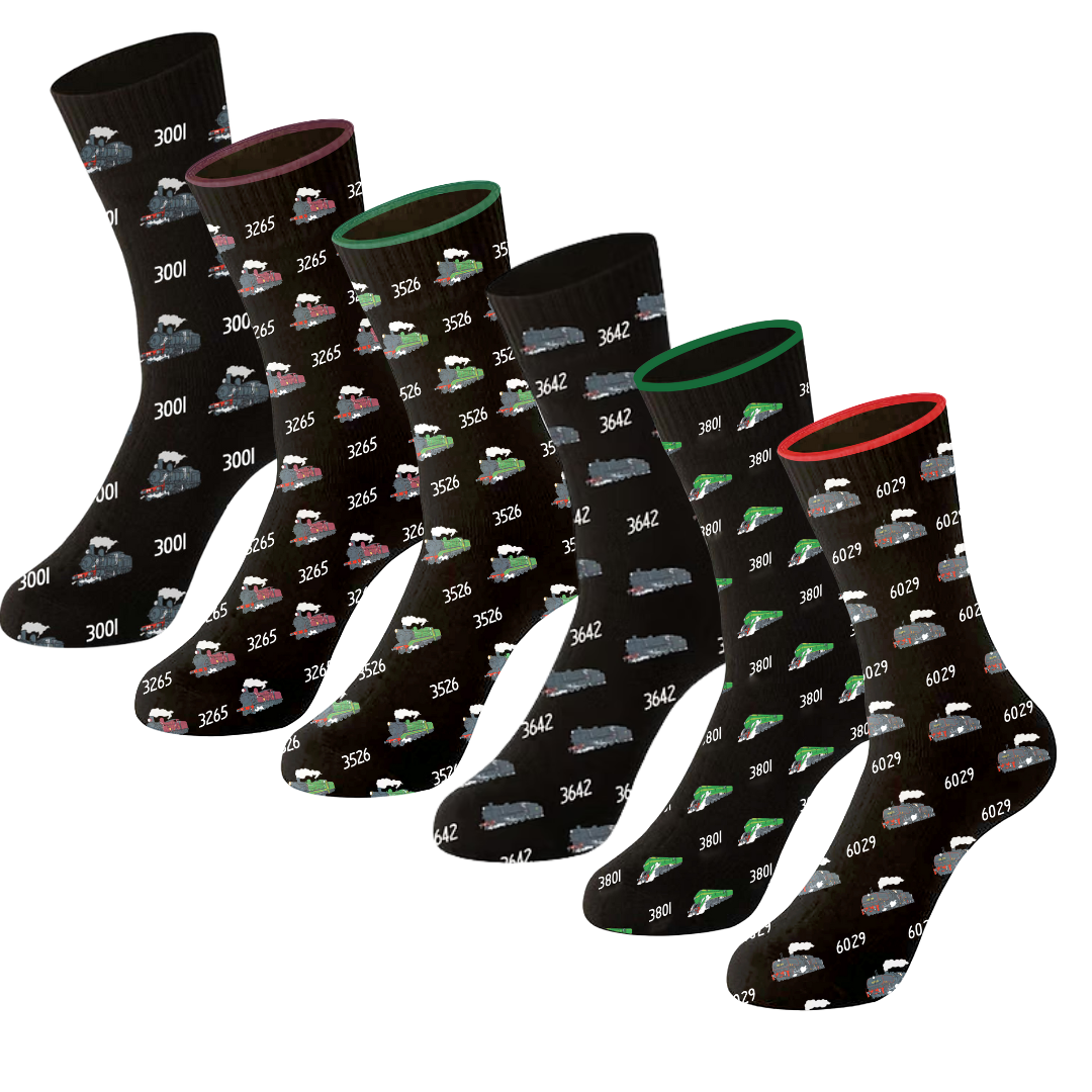 Locomotive Socks - Adult